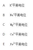 军队文职农学,章节练习,动物生理学