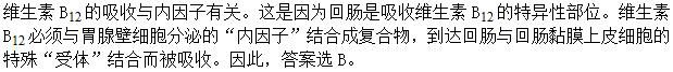 军队文职农学,章节练习,动物生理学