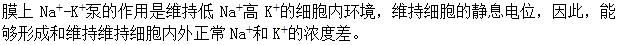 军队文职农学,章节练习,动物生理学 军队文职农学,章节练习,动物生理学