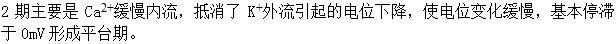 军队文职农学,章节练习,动物生理学