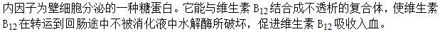 军队文职农学,章节练习,动物生理学