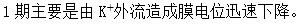 军队文职农学,章节练习,农学动物生理学
