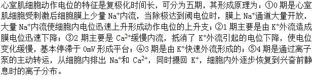 军队文职农学,章节练习,动物生理学