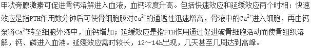 军队文职农学,章节练习,农学动物生理学