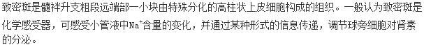 军队文职农学,章节练习,农学动物生理学 军队文职农学,章节练习,农学动物生理学