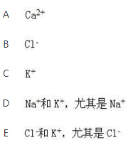 军队文职农学,章节练习,动物生理学