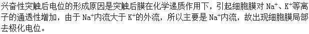军队文职农学,章节练习,动物生理学