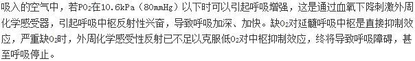 军队文职农学,章节练习,动物生理学