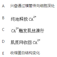 军队文职农学,章节练习,动物生理学