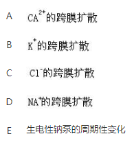 军队文职农学,章节练习,动物生理学