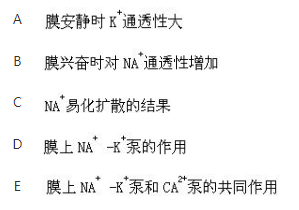 军队文职农学,章节练习,动物生理学