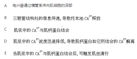军队文职农学,章节练习,动物生理学