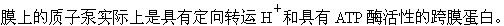 军队文职农学,章节练习,生物化学