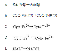 军队文职农学,章节练习,生物化学