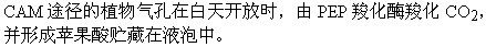 军队文职农学,章节练习,农学植物生理学