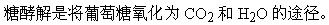 军队文职农学,预测试卷,2022年军队文职人员招聘考试《农学》名师预测卷1