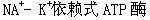 军队文职农学,预测试卷,2022年军队文职人员招聘考试《农学》名师预测卷2