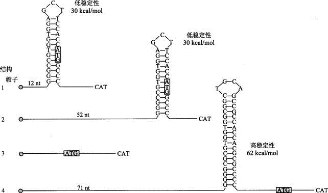 军队文职农学,章节练习,生物化学