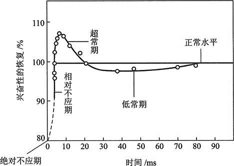 军队文职农学,章节练习,动物生理学