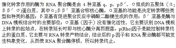 军队文职医学类基础综合,真题专项训练,生物化学与分子生物学