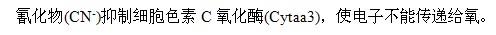 军队文职医学类基础综合,真题专项训练,生物化学与分子生物学