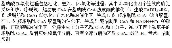 军队文职医学类基础综合,真题专项训练,生物化学与分子生物学