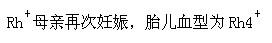 军队文职医学类基础综合,章节练习,医学微生物与免疫学