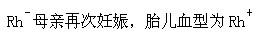 军队文职医学类基础综合,章节练习,医学微生物与免疫学