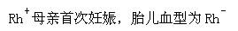 军队文职医学类基础综合,章节练习,医学微生物与免疫学