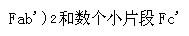 军队文职医学类基础综合,章节练习,医学微生物与免疫学
