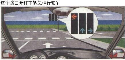 军队文职司机岗,章节练习,基础复习,道路交通信号及其含义