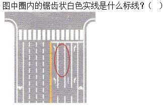 军队文职司机岗,章节练习,军队文职《司机岗》道路交通信号及其含义