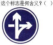 军队文职司机岗,章节练习,军队文职司机岗道路交通信号及其含义