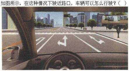 军队文职司机岗,章节练习,基础复习,安全行车、文明驾驶知识