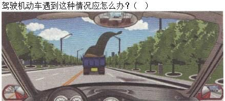 军队文职司机岗,专项练习,军队文职招聘《司机岗》文明驾驶常识