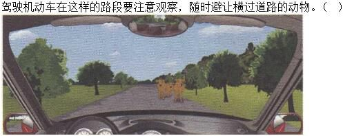 军队文职司机岗,章节练习,基础复习,驾驶职业道德和文明驾驶常识