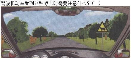 军队文职司机岗,章节练习,驾驶执业道德和文明驾驶常识