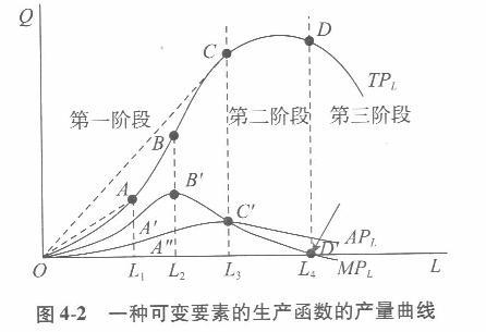 经济学,章节练习,西方微观经济学 经济学,章节练习,西方微观经济学