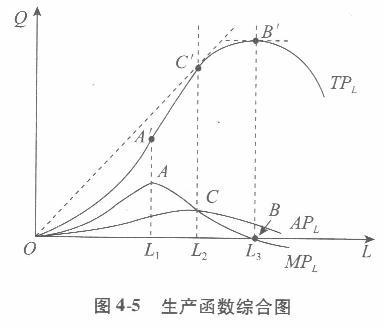 经济学,章节练习,西方微观经济学 经济学,章节练习,西方微观经济学