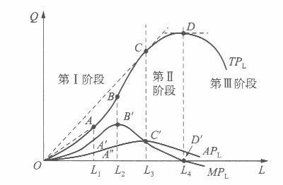 经济学,章节练习,经济学真题
