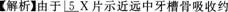 口腔执业医师资格证,章节练习,口腔执业医师资格真题
