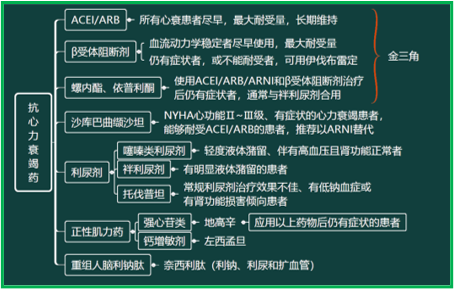 西药学综合知识与技能,真题章节精选,西药学综合知识与技能 西药学综合知识与技能,真题章节精选,西药学综合知识与技能