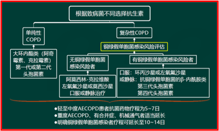 西药学综合知识与技能,真题章节精选,西药学综合知识与技能 西药学综合知识与技能,真题章节精选,西药学综合知识与技能