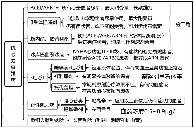 西药学综合知识与技能,历年真题,2021年执业药师考试《药学综合知识与技能》真题
