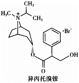 西药学专业一,章节练习,基础复习,药品与药品质量标准