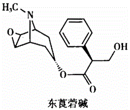 西药学专业一,章节练习,基础复习,药品与药品质量标准