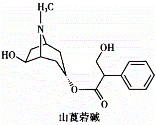 西药学专业一,章节练习,基础复习,药品与药品质量标准