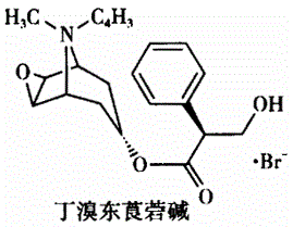 西药学专业一,章节练习,基础复习,药品与药品质量标准