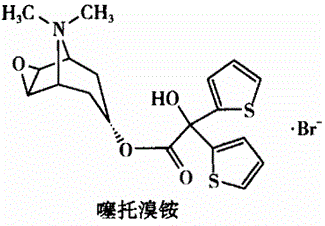 西药学专业一,章节练习,基础复习,药品与药品质量标准