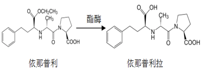 西药学专业一,章节练习,基础复习,西药学专业一真题章节 西药学专业一,章节练习,基础复习,西药学专业一真题章节